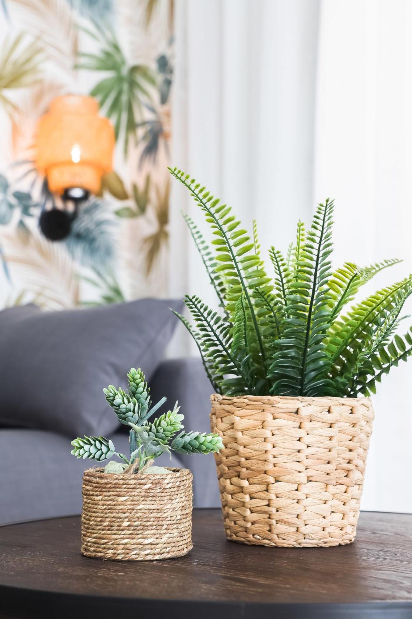 Apartamento Palermo Living Suites En Burriana Ngoại thất bức ảnh